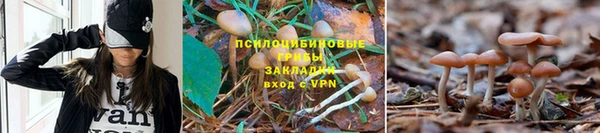 МДМА Мегион