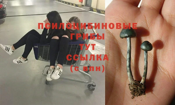 МДМА Мегион