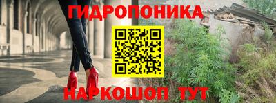 прущие крисы Абакан