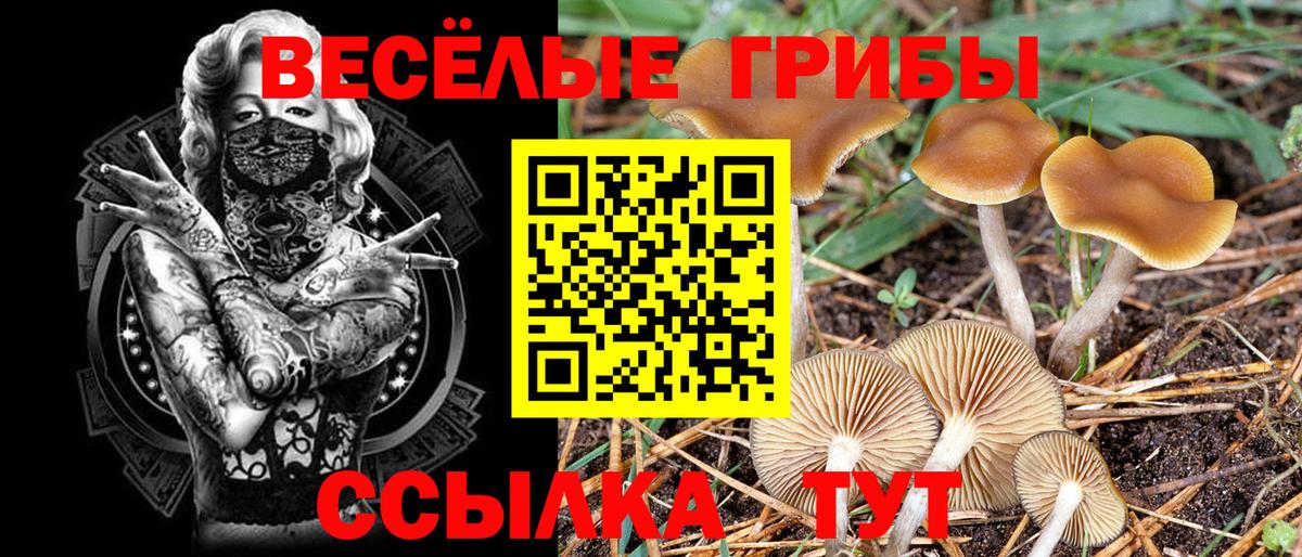 Галлюциногенные грибы ЛСД Сыктывкар