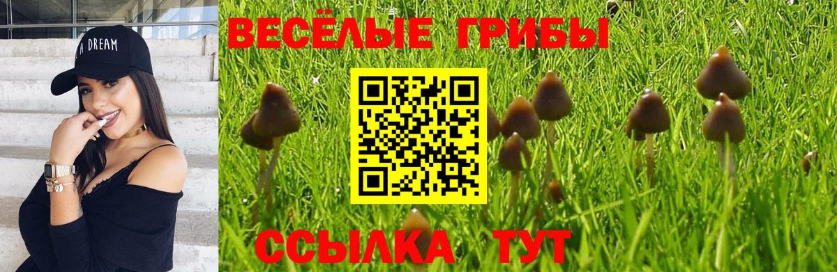 магазин продажи наркотиков  Вход с VPN  Сыктывкар  Псилоцибиновые грибы Psilocybine cubensis 