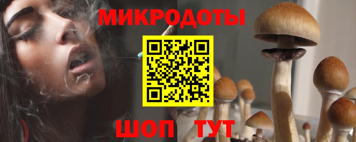 Галлюциногенные грибы Magic Shrooms Сыктывкар